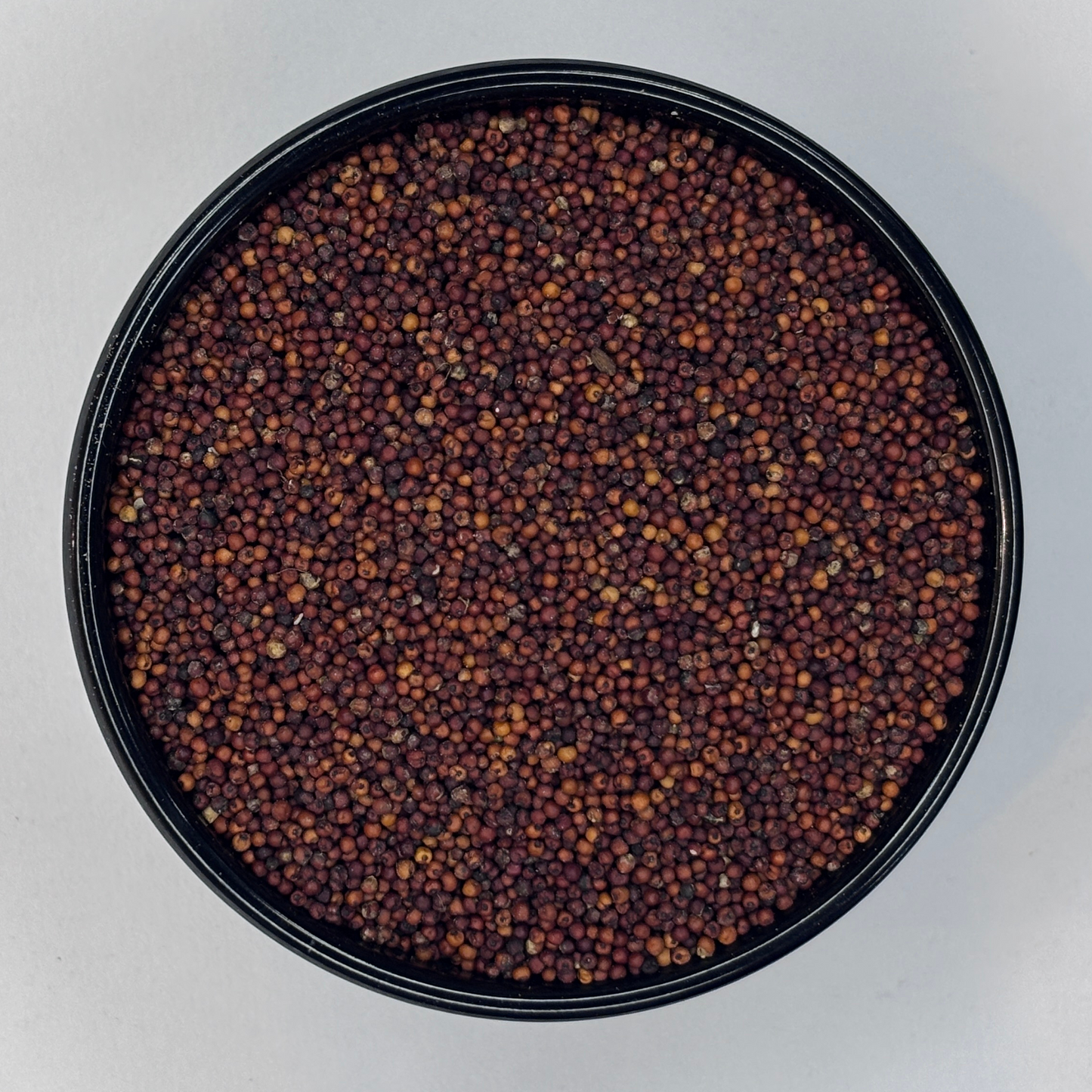 Ragi