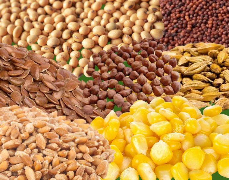 Grains