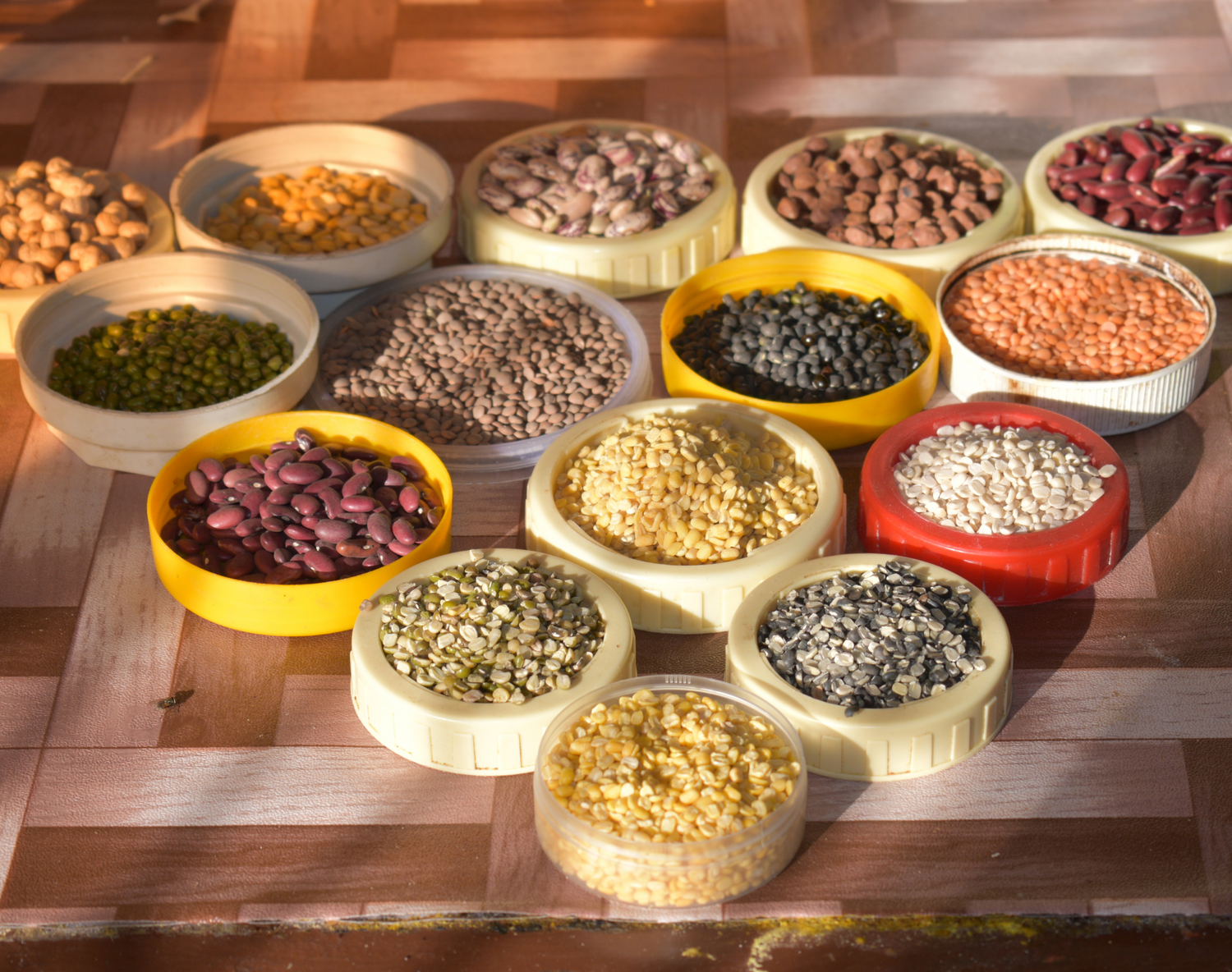 Pulses