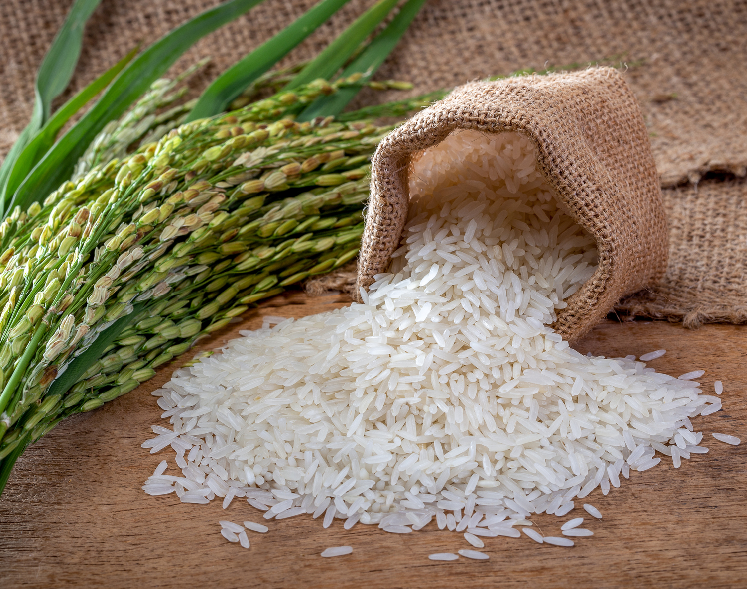 Rice