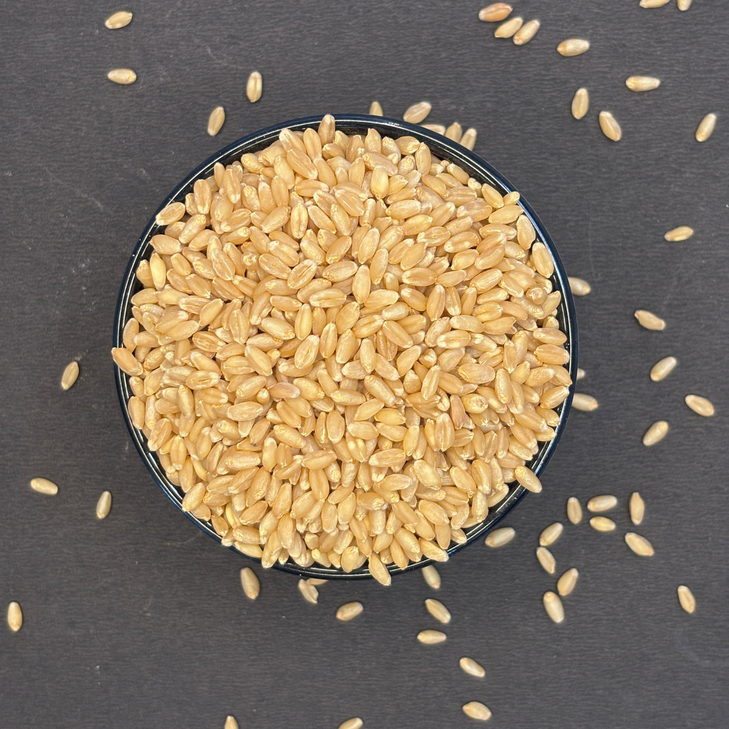 M.P Lokone Wheat