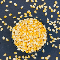Pop Corn
