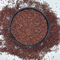 Ragi